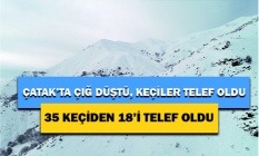 Çatak#039;ta çığ düştü, 18 keçi telef oldu