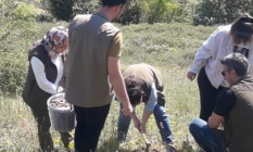 Salep soğanı toplayan 4 kişiye 438 bin lira ceza