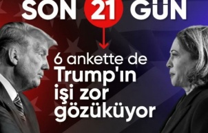 Trump-Harris yarışında anketlerde kim önde?