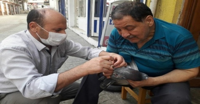 Özgürlüğüne kavuşturdular