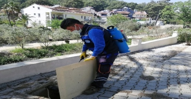 Vektör ile mücadele devam ediyor