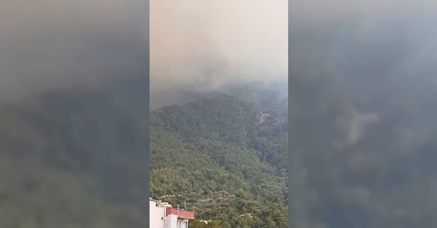 Aydın Çinede yangın