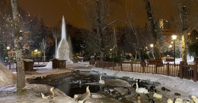 Ankaranın simge yeri Mogan gölü buz tuttu
