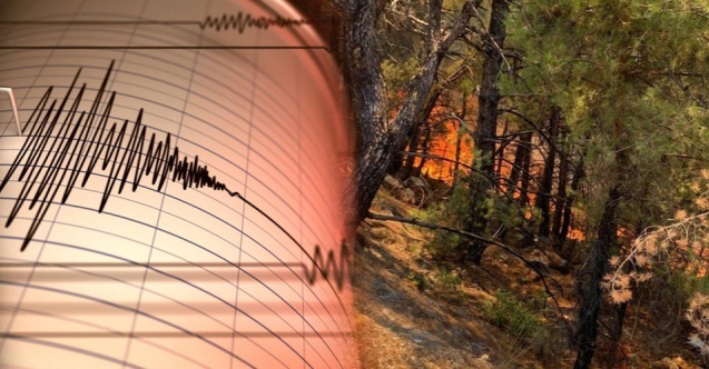 Önce deprem sonra orman yangını!