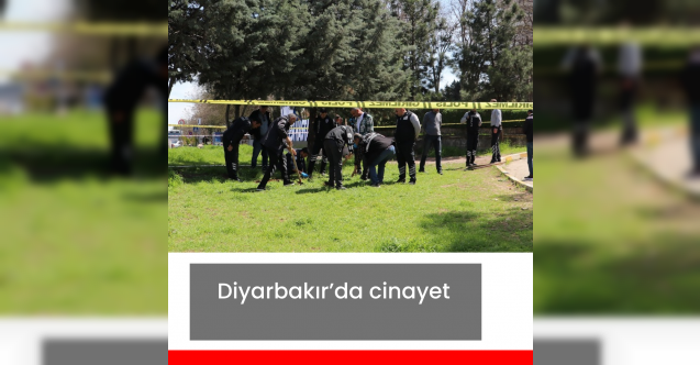 Diyarbakırda cinayet