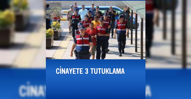 Cinayete 3 tutuklama